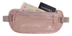 Eagle Creek Travel Gear Silk Undercover Money Belt