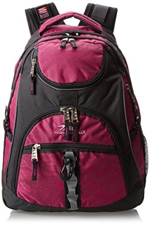 High Sierra Access Backpack
