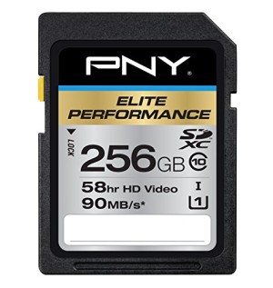 PNY Elite Performance 256GB High Speed SDXC Class 10 UHS-1 Up to 90MB/sec Flash Card - P-SDX256U1H-GE