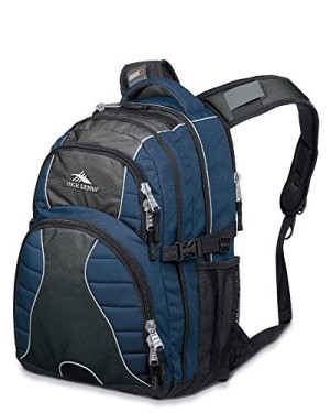 High Sierra Swerve Backpack