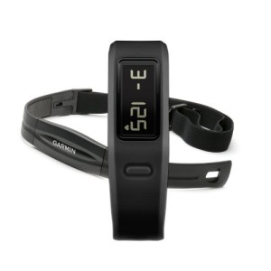 Garmin Vivofit Fitness Band