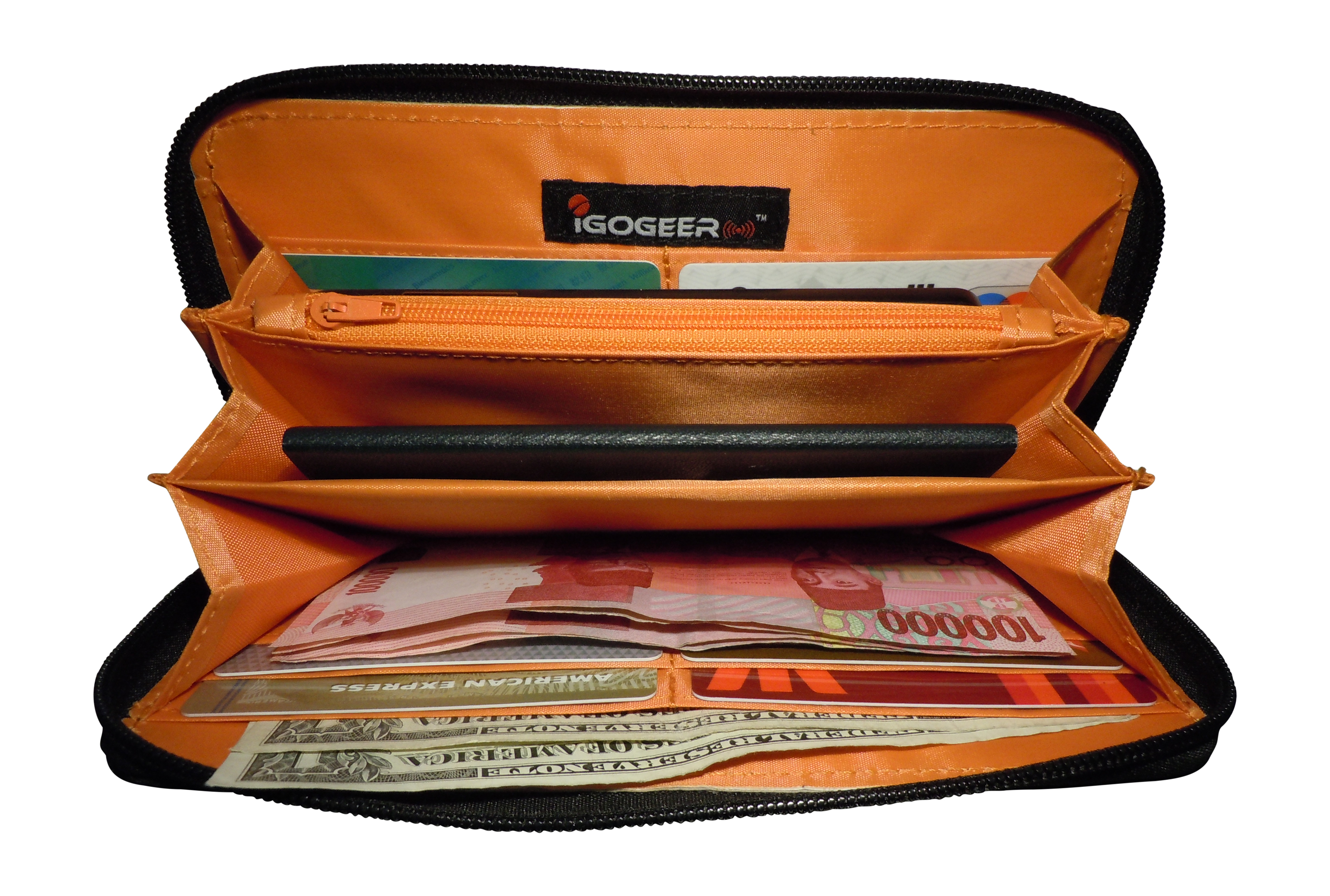 best travel wallet pickpocket